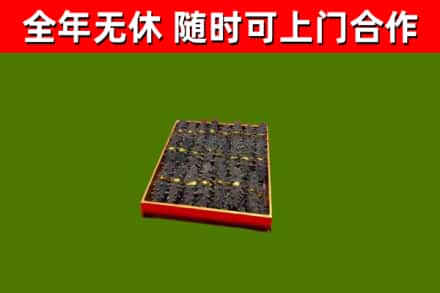 博尔塔拉回收海参